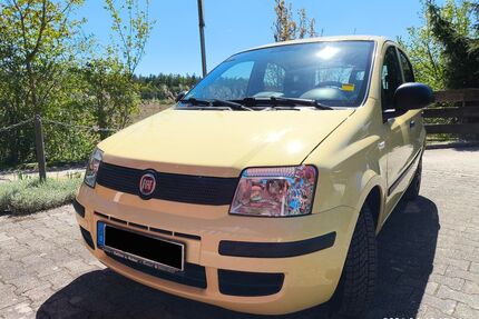 Fiat Panda Gebrauchtwagen