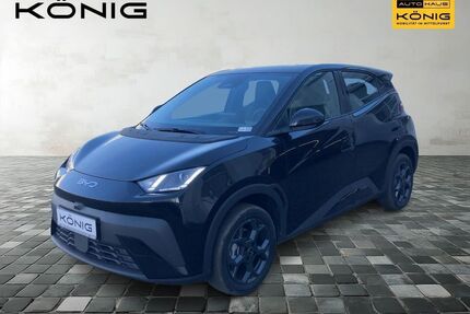 BYD DOLPHIN Gebrauchtwagen