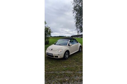 VW Beetle Gebrauchtwagen