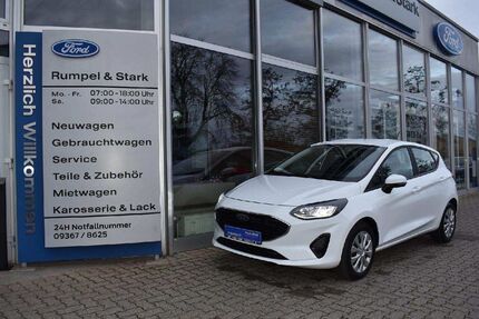Ford Fiesta Gebrauchtwagen