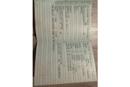 Renault Trafic Gebrauchtwagen