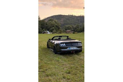Ford Mustang Gebrauchtwagen