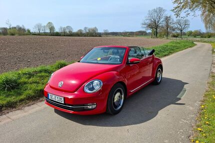VW Beetle Gebrauchtwagen