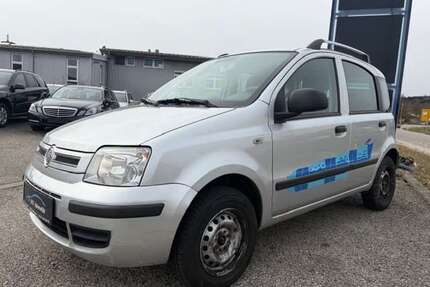 Fiat Panda Gebrauchtwagen