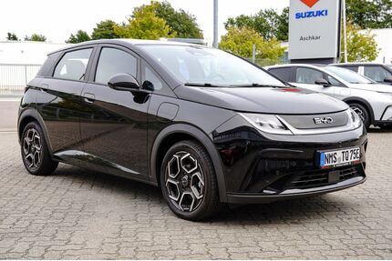 BYD DOLPHIN Gebrauchtwagen