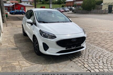 Ford Fiesta Gebrauchtwagen