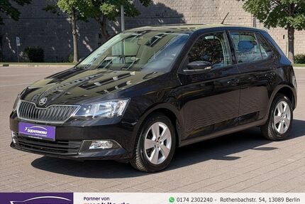 Skoda Fabia Gebrauchtwagen
