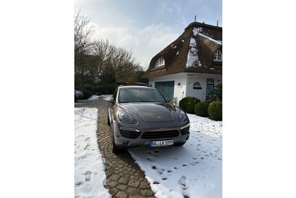 Porsche Cayenne Gebrauchtwagen