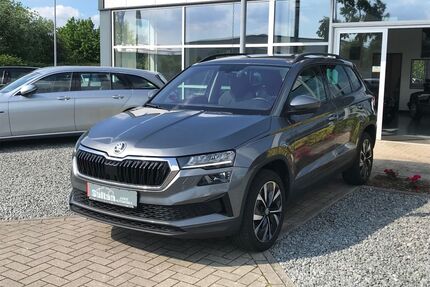 Skoda Karoq Gebrauchtwagen