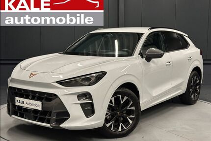 Cupra Terramar Gebrauchtwagen