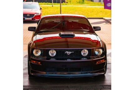 Ford Mustang Gebrauchtwagen