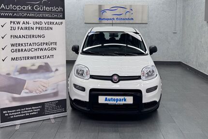 Fiat Panda Gebrauchtwagen