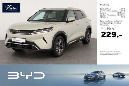 BYD ATTO 2 Gebrauchtwagen