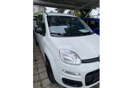 Fiat Panda Gebrauchtwagen