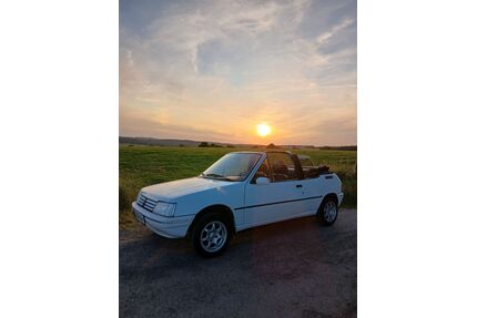 Peugeot 205 Gebrauchtwagen
