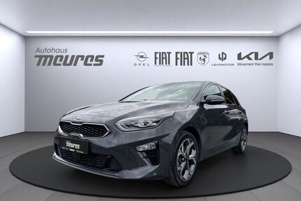 Kia ceed / Ceed Gebrauchtwagen