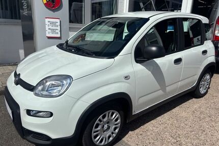 Fiat Panda Gebrauchtwagen