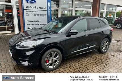 Ford Kuga Gebrauchtwagen