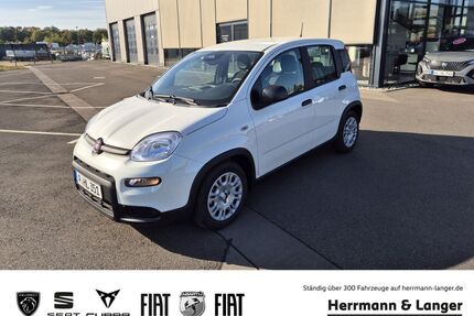 Fiat Panda Gebrauchtwagen