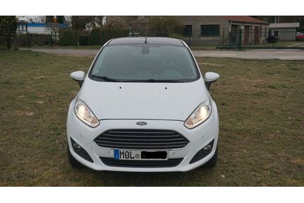 Ford Fiesta Gebrauchtwagen