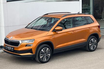 Skoda Karoq Gebrauchtwagen