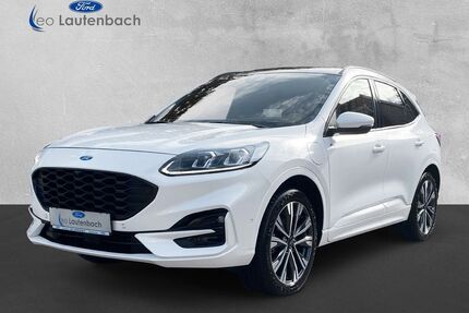 Ford Kuga Gebrauchtwagen