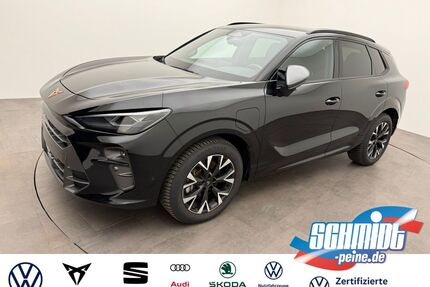 Cupra Terramar Gebrauchtwagen
