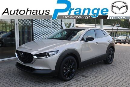 Mazda CX-30 Gebrauchtwagen