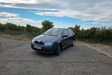 Skoda Fabia Gebrauchtwagen