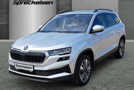 Skoda Karoq Gebrauchtwagen