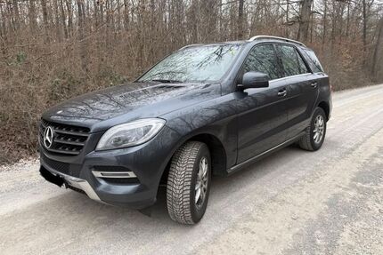 Mercedes-Benz ML 250 Gebrauchtwagen
