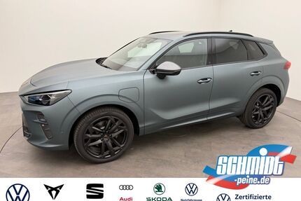Cupra Terramar Gebrauchtwagen