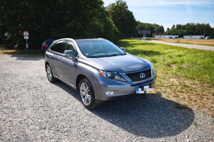 Lexus RX 450 Gebrauchtwagen
