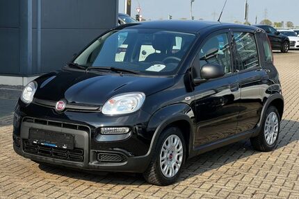 Fiat Panda Gebrauchtwagen