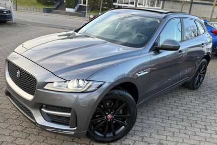 Jaguar F-Pace Gebrauchtwagen