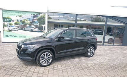 Skoda Karoq Gebrauchtwagen