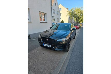 Jaguar F-Pace Gebrauchtwagen