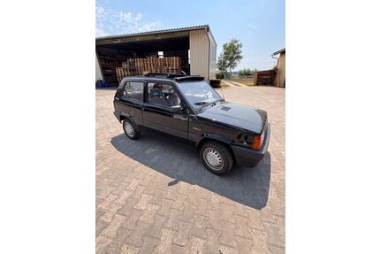 Fiat Panda Gebrauchtwagen