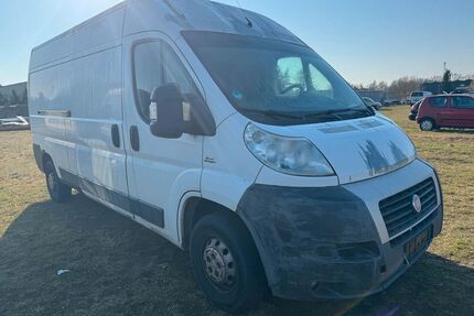 Fiat Ducato Gebrauchtwagen