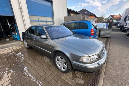Audi A8 Gebrauchtwagen