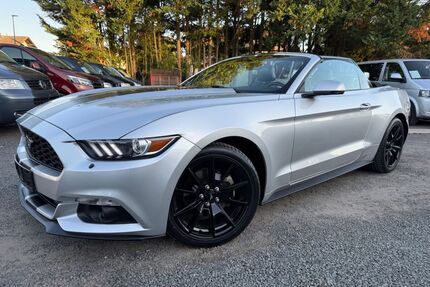 Ford Mustang Gebrauchtwagen