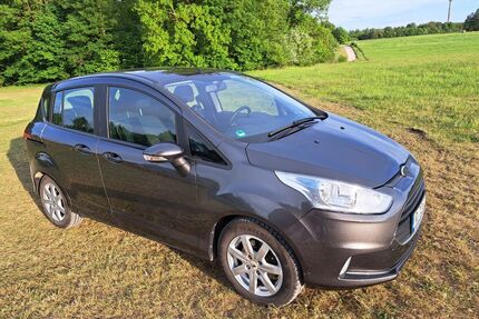 Ford B-Max Gebrauchtwagen