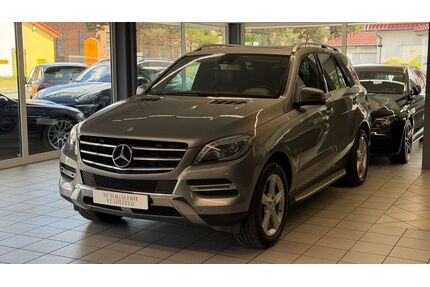 Mercedes-Benz ML 250 Gebrauchtwagen
