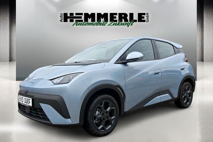 BYD DOLPHIN Gebrauchtwagen