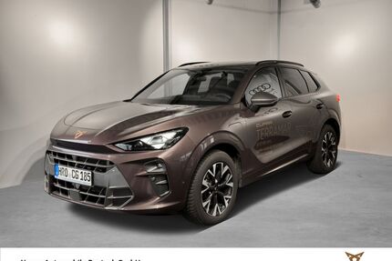 Cupra Terramar Gebrauchtwagen