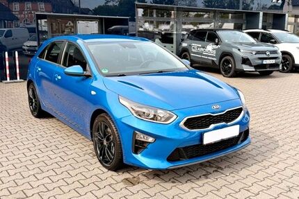 Kia ceed / Ceed Gebrauchtwagen