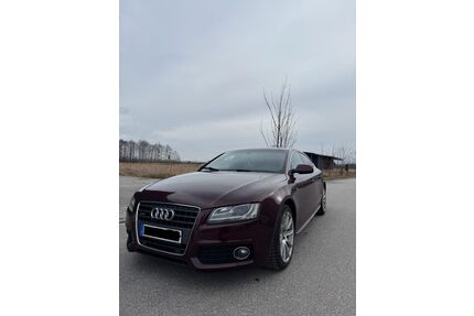 Audi A5 Gebrauchtwagen