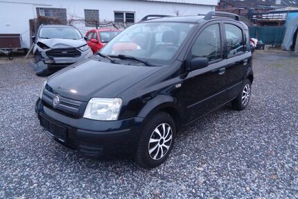 Fiat Panda Gebrauchtwagen