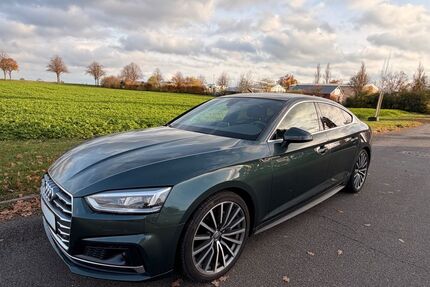 Audi A5 Gebrauchtwagen