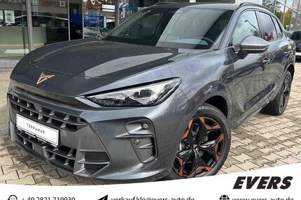 Cupra Terramar Gebrauchtwagen